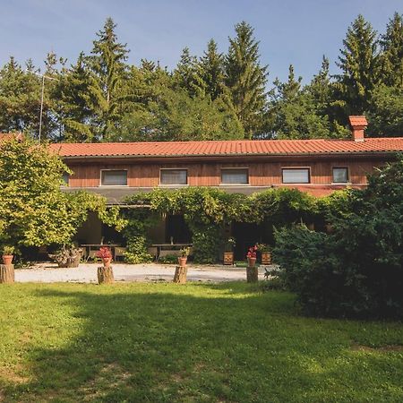 Orsegi Patakparti Alpaka Panzio Panzió Kisrakos Kültér fotó
