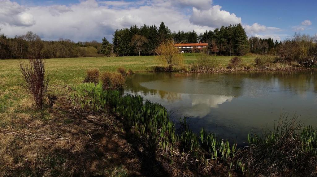 Orsegi Patakparti Alpaka Panzio Panzió Kisrakos Kültér fotó