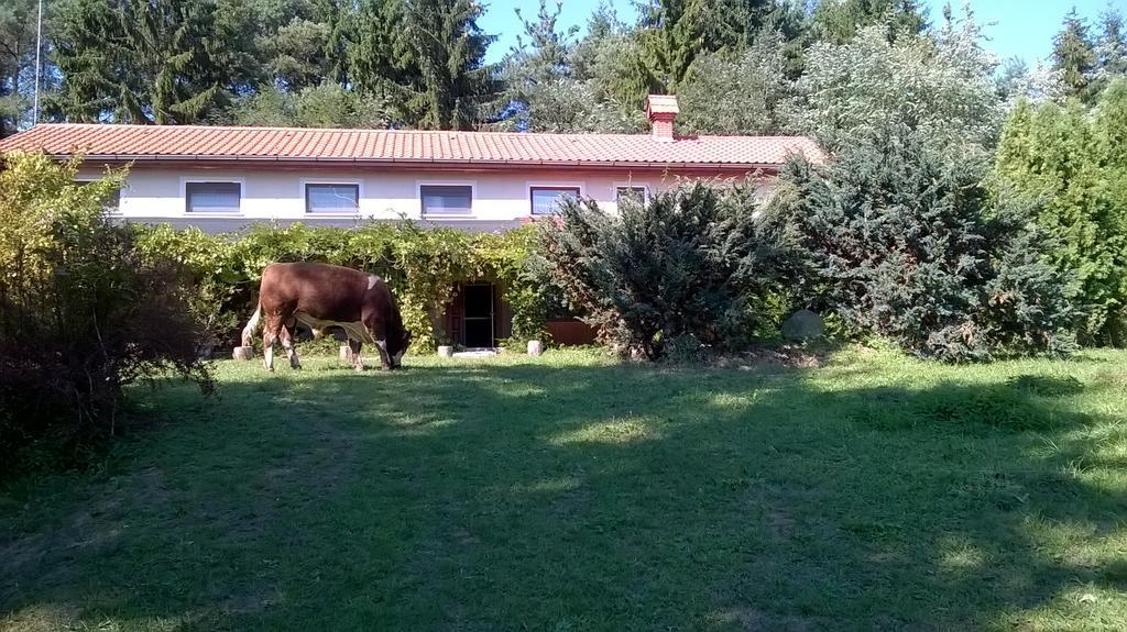 HOTEL ORSEGI PATAKPARTI ALPAKA PANZIO KISRAKOS Magyarorsz g