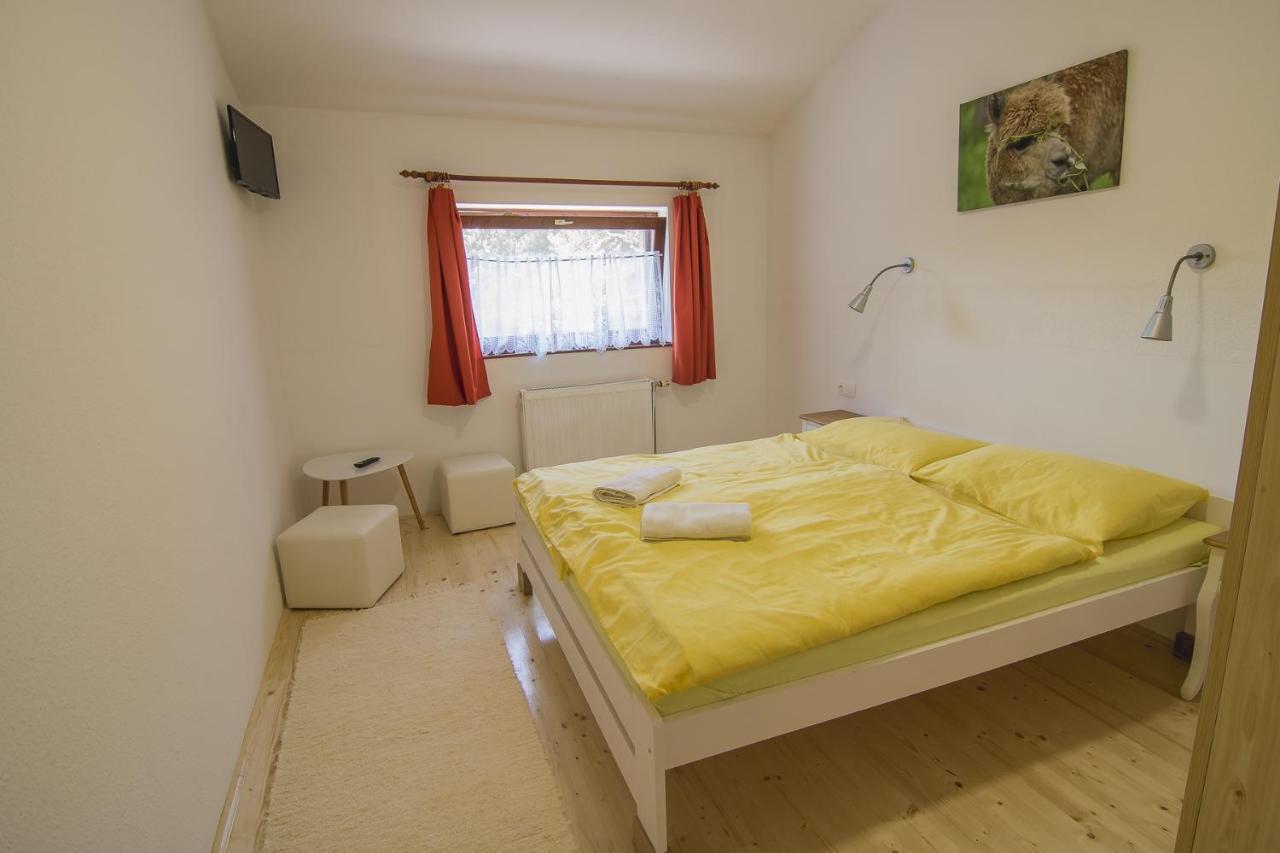 Orsegi Patakparti Alpaka Panzio Panzió Kisrakos Kültér fotó